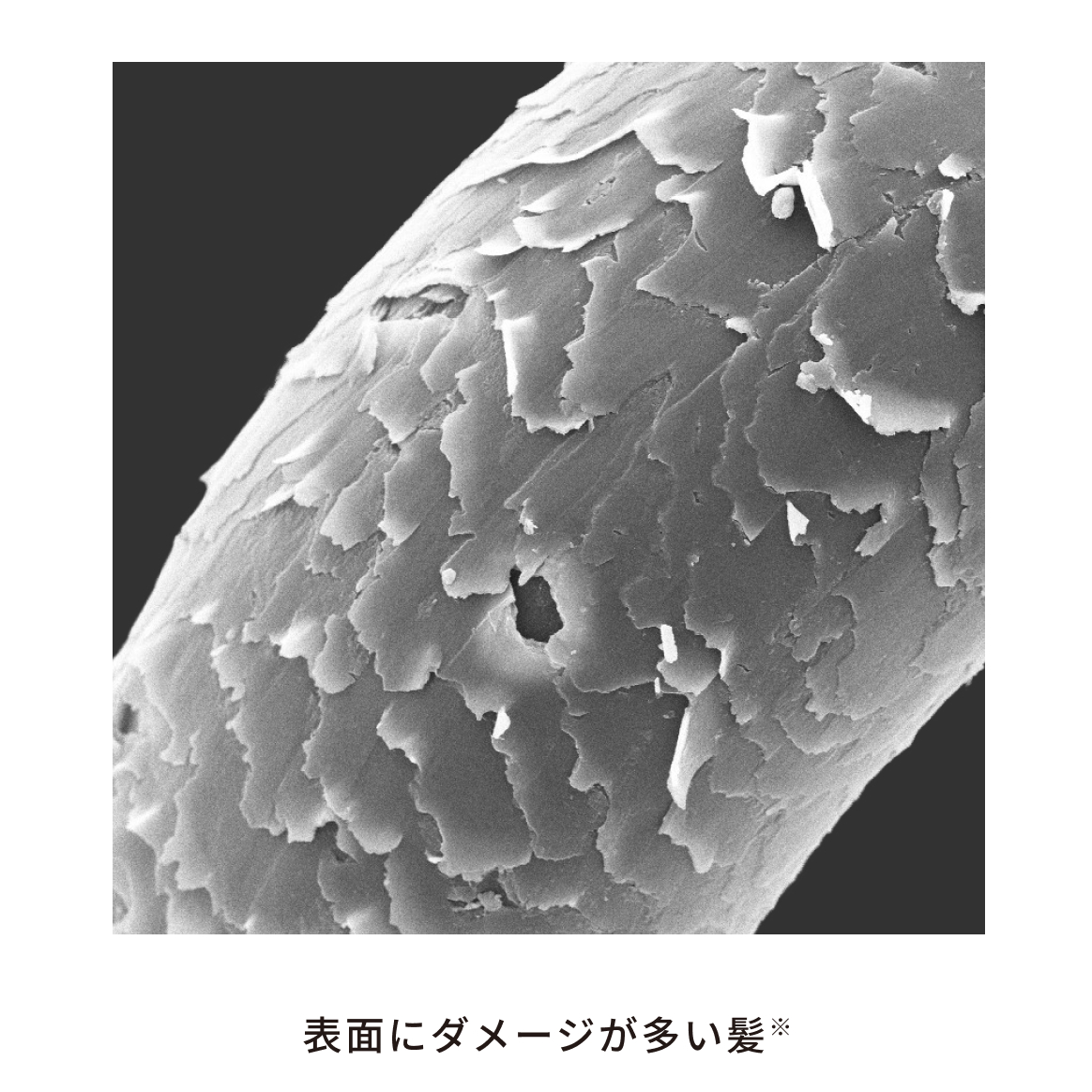 リファカールブローアイロン ReFa CURL BLOW IRON