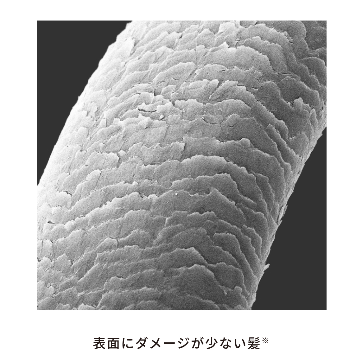 リファカールブローアイロン ReFa CURL BLOW IRON