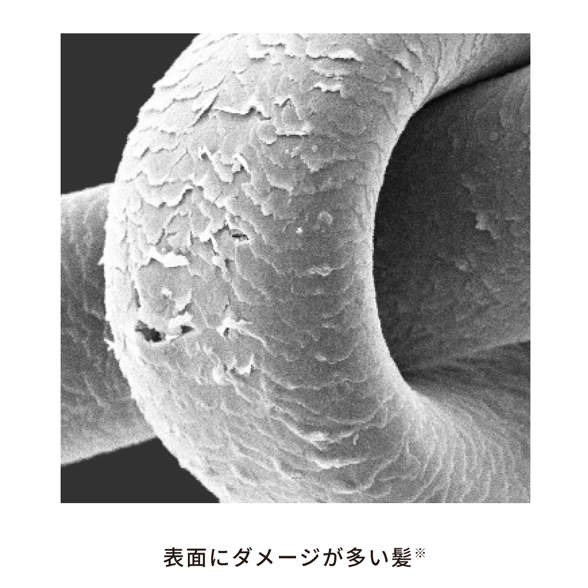 リファストレートブローアイロン ReFa STRAIGHT BLOW IRON