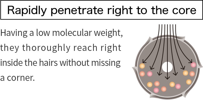 Rapidly penetrate right to the core