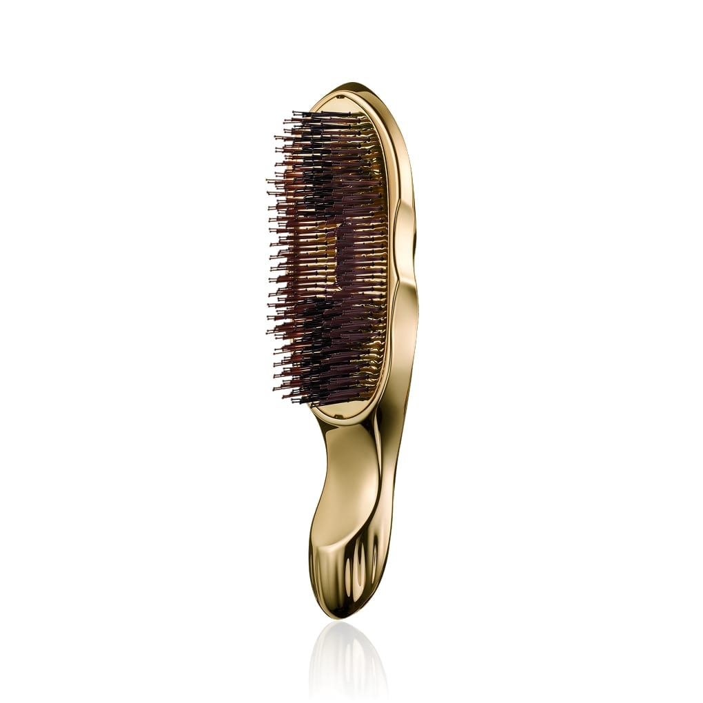 ReFa ION CARE BRUSH<br class="only-sp"> PREMIUM