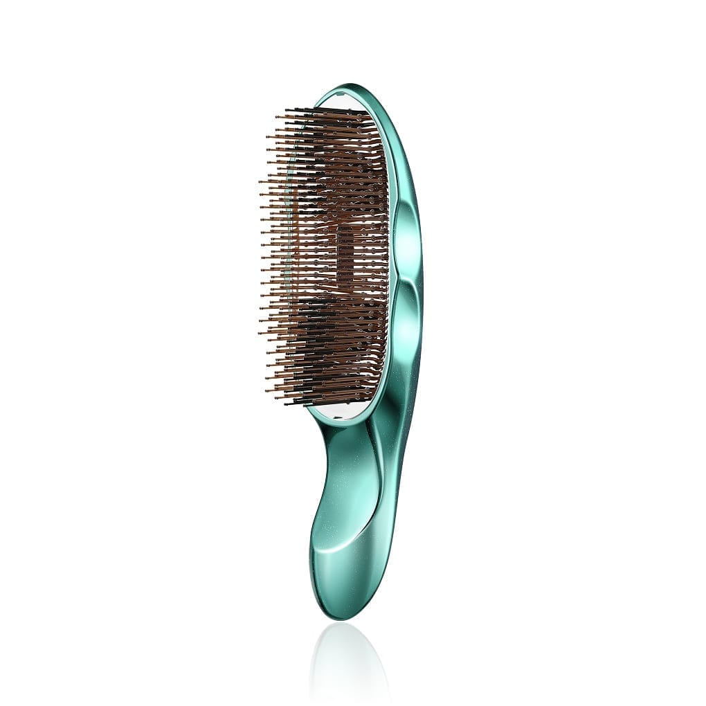 ReFa ION CARE BRUSH<br class="only-sp"> PREMIUM SE