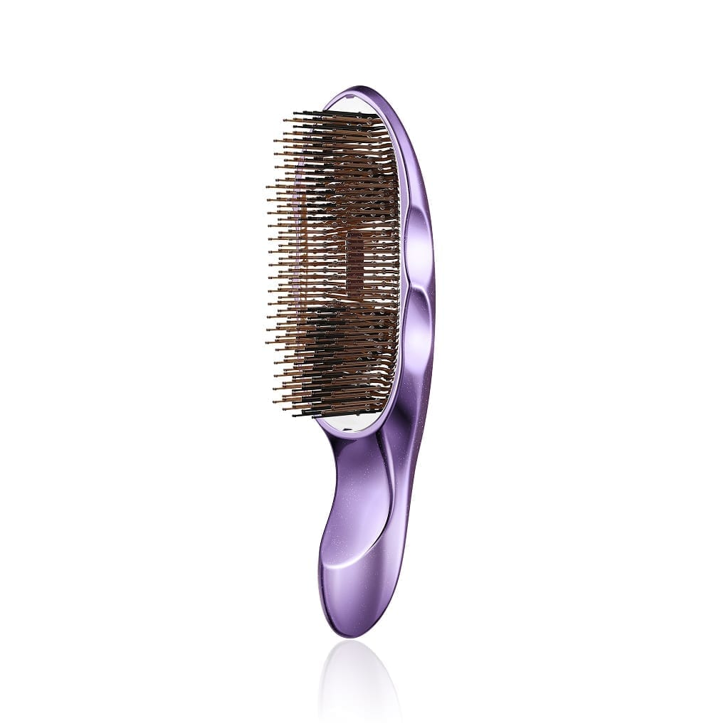 ReFa ION CARE BRUSH<br class="only-sp"> PREMIUM SE