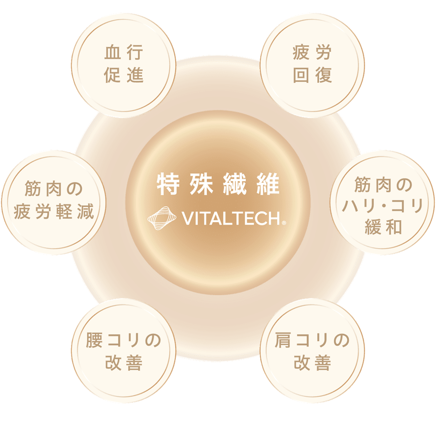 特殊繊維® VITALTECH 血行促進 疲労回復 筋肉の疲労回復 筋肉のハリ・コリ緩和 腰コリの改善 肩コリの改善