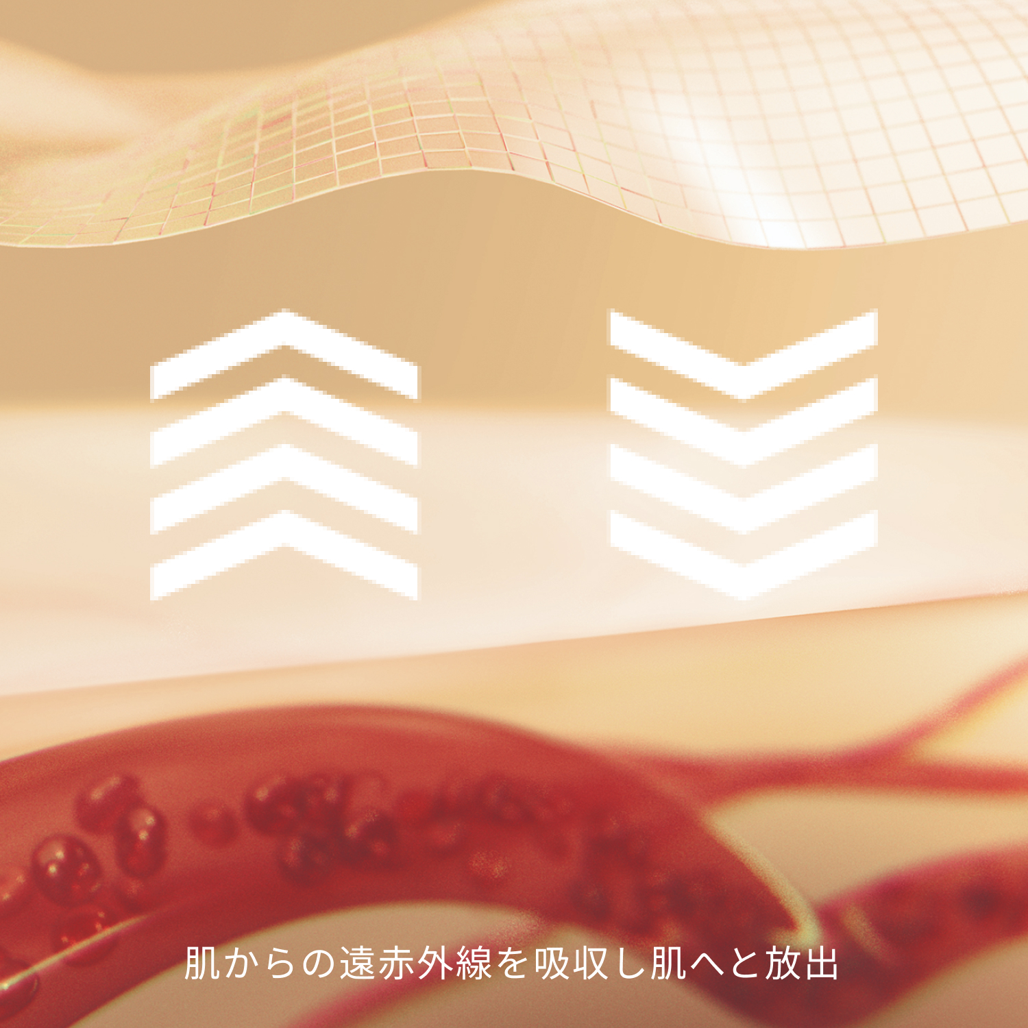 はだからの遠赤外線を吸収し肌へと放出