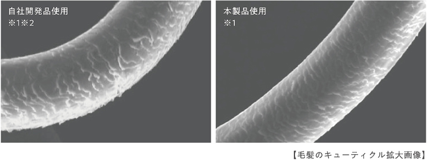 あなたの髪のキューティクルを守る