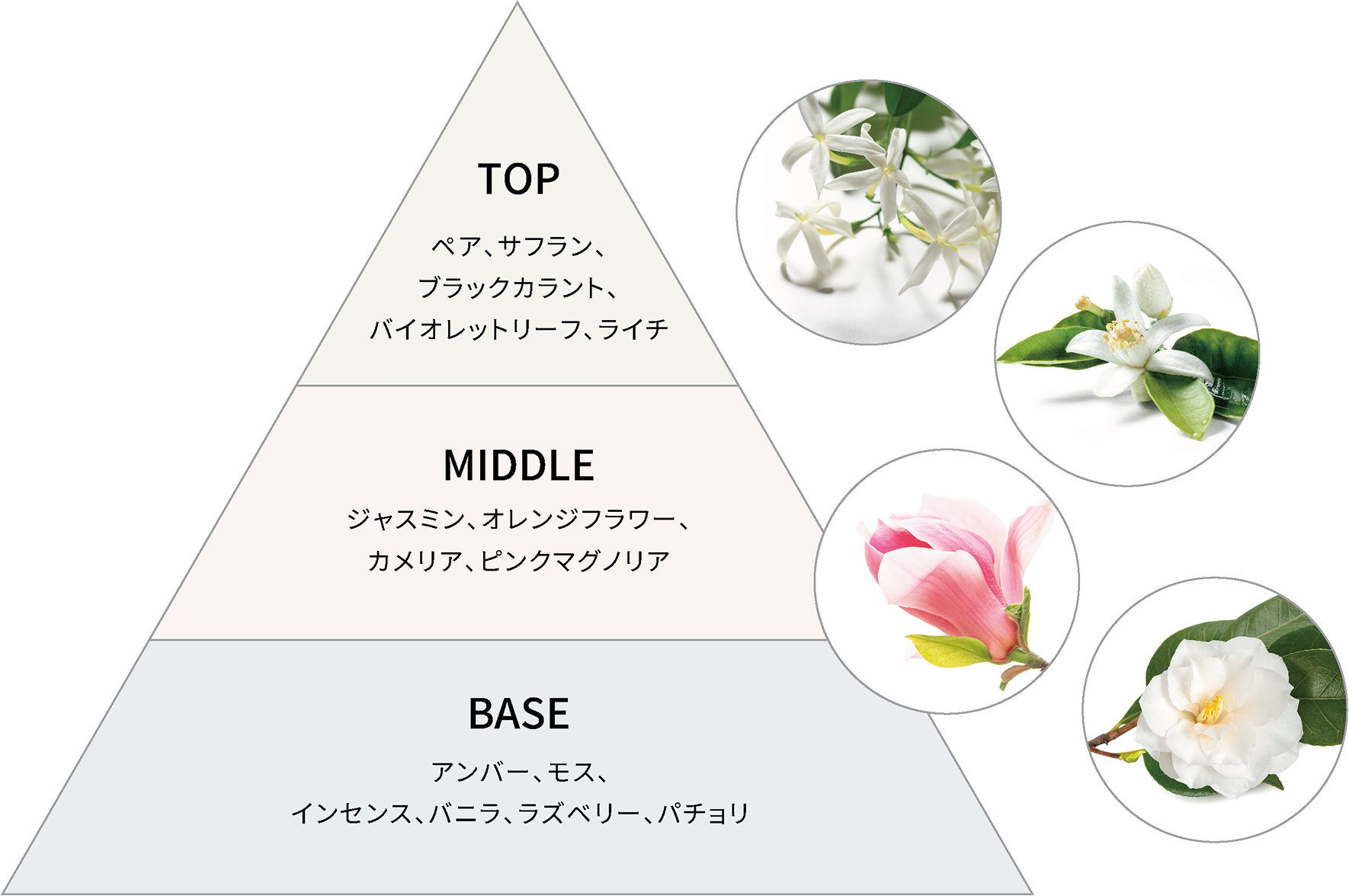 リファブルーミングハンドウォッシュ ReFa BLOOMING HAND WASH