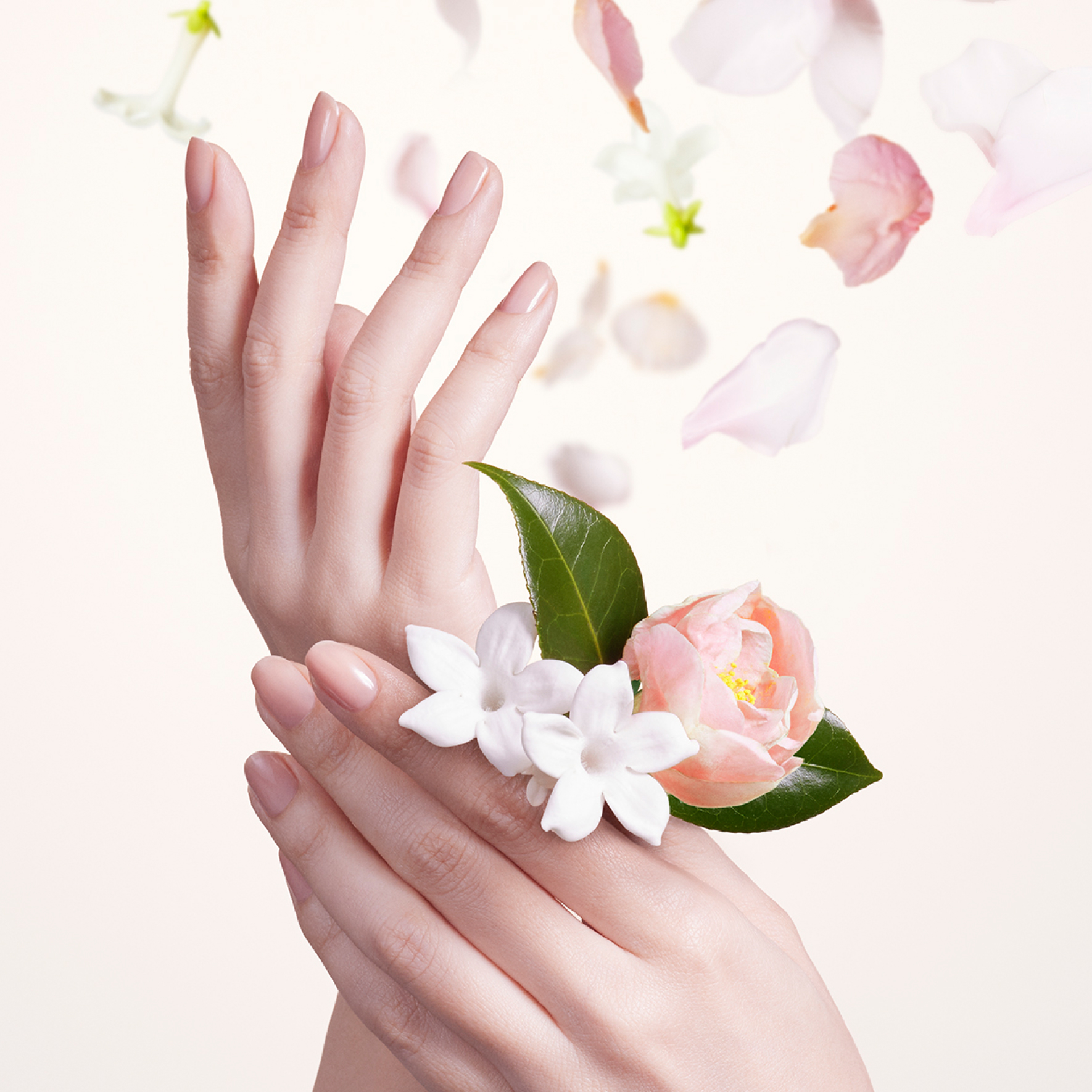 手と空間を 甘く華やかに包み込む、 ハンドウォッシュ。 その手から、ふわり、華やかで甘い香りを。 いきいきと花開く瞬間を閉じ込めたような ブライトブルームの香りを ハンドウォッシュに仕上げました。 手を洗っている間はもちろん、 その後も手から、空間から、香りが寄りそい、 ふとした瞬間に心を彩ります。