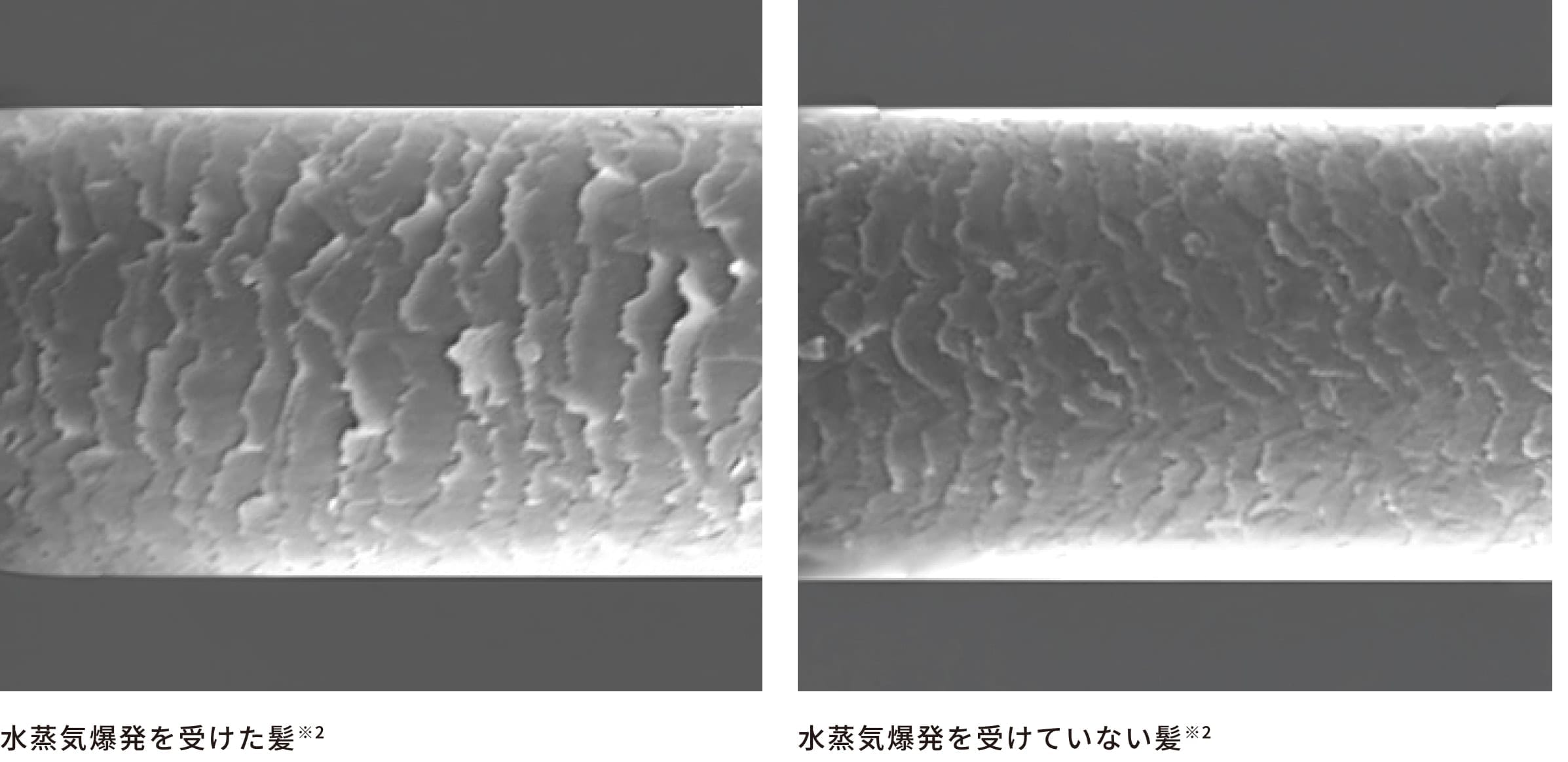 水蒸気爆発を受けた髪／水蒸気爆発を受けていない髪