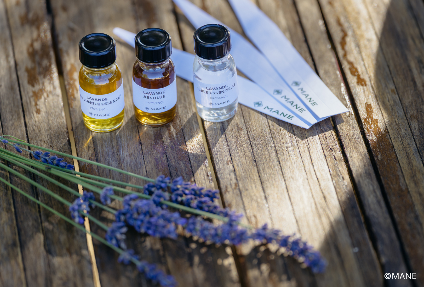 テキスチャライズドスキンアコード