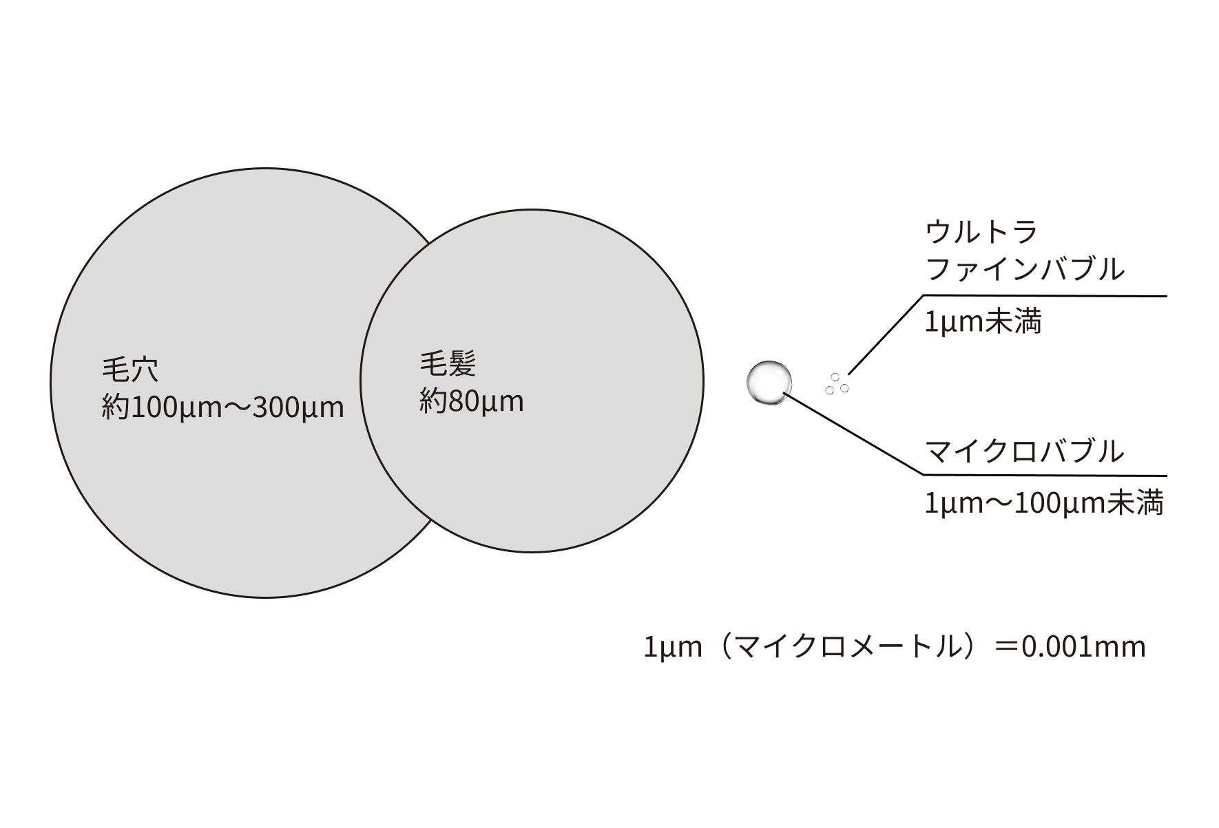 新たな入浴体験を叶えるファインバブル