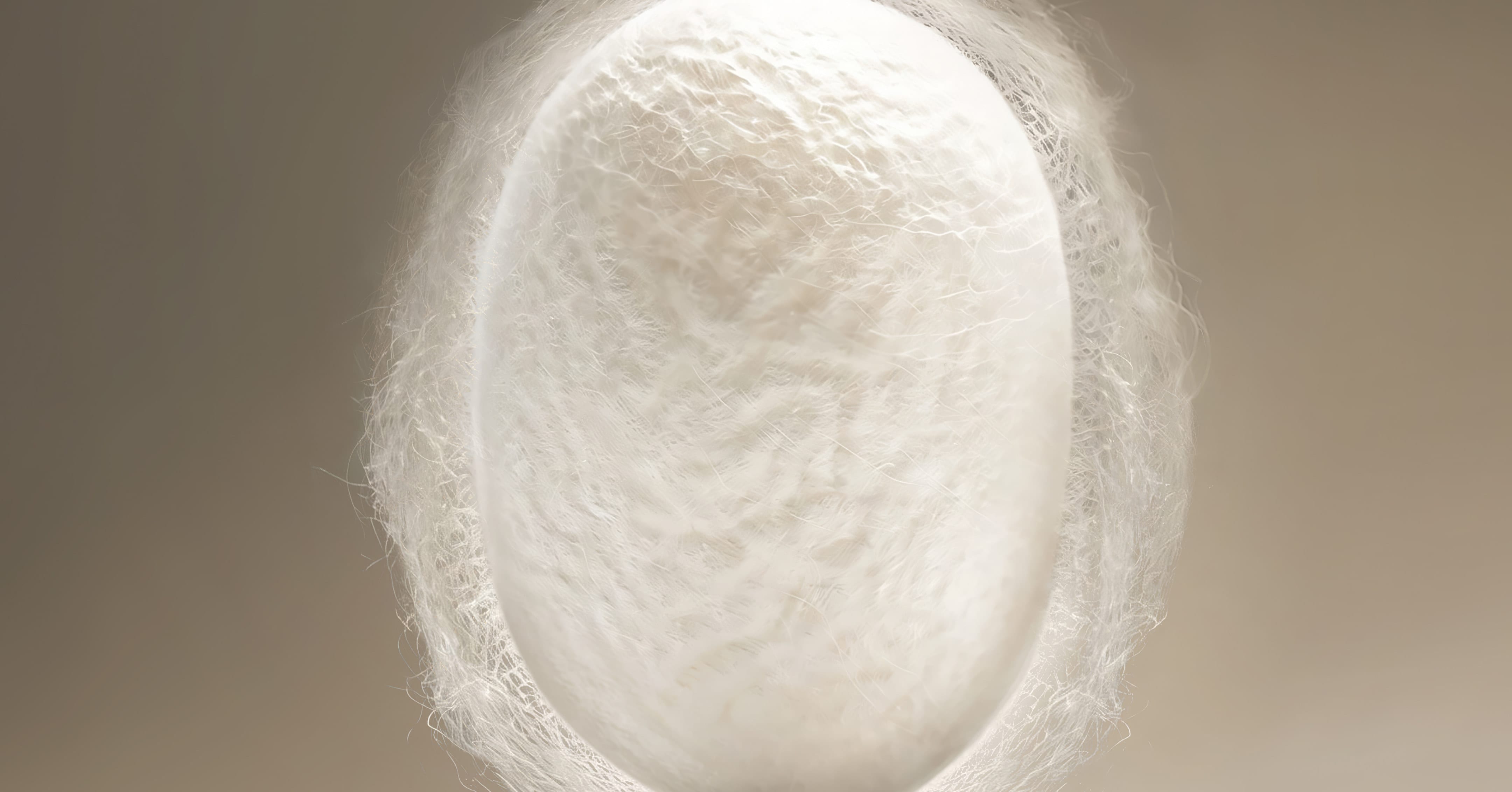 リファシルク ReFa SILK