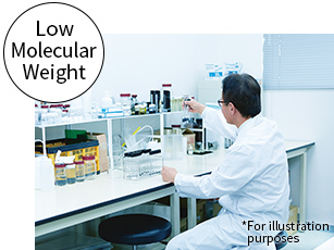 Low Molecular Weight