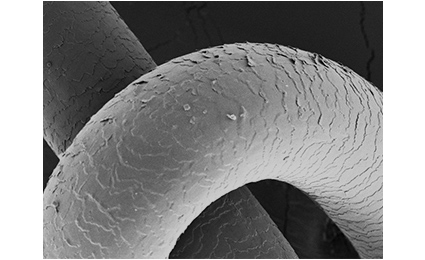 Hair that has had water vapor explosions