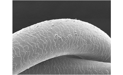 Hair that hasn’t had water vapor explosions