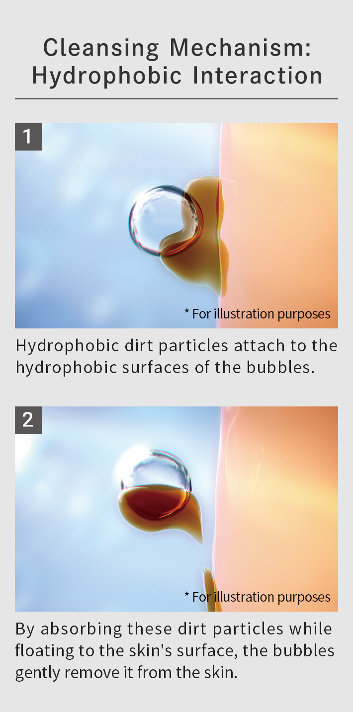 Cleansing Mechanism: Hydrophobic Interaction