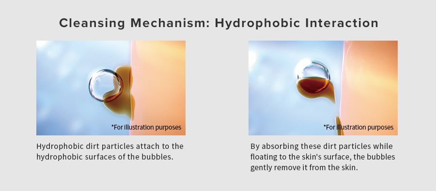 Cleansing Mechanism: Hydrophobic Interaction