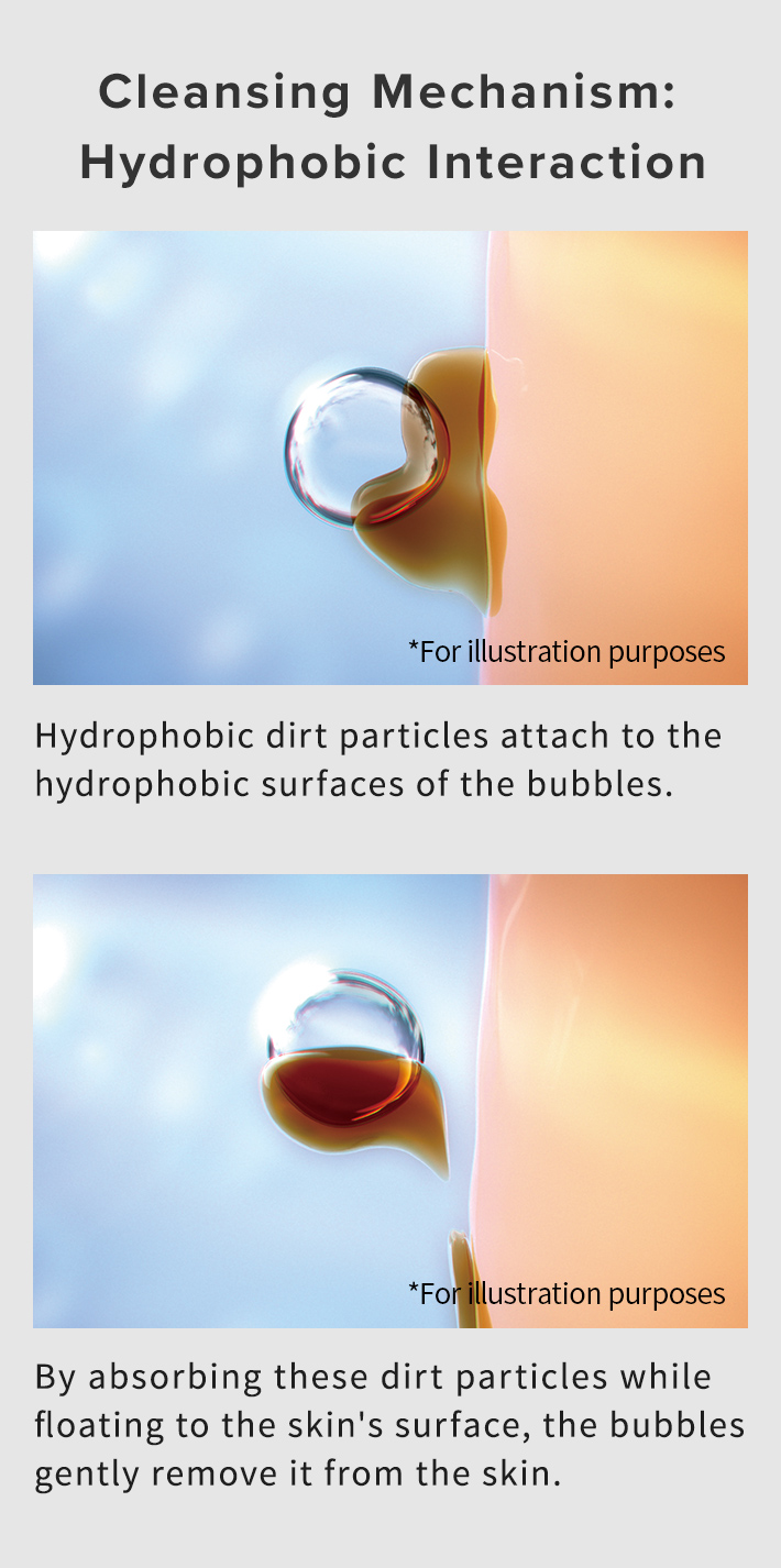 Cleansing Mechanism: Hydrophobic Interaction