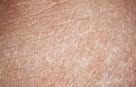 Without fine bubbles and beauty serum ingredients