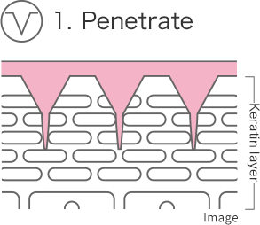 1.Penetrate