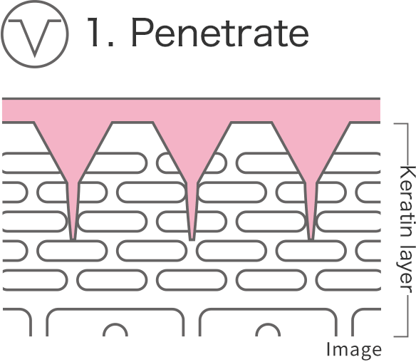 1.Penetrate