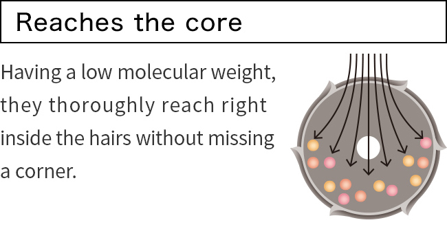 Reaches the core