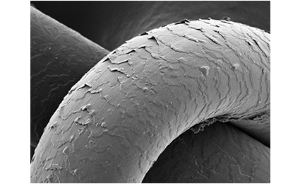 Hair that has had water vapor explosions