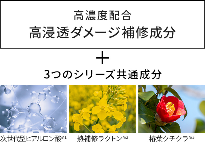 3つのシリーズ共通成分