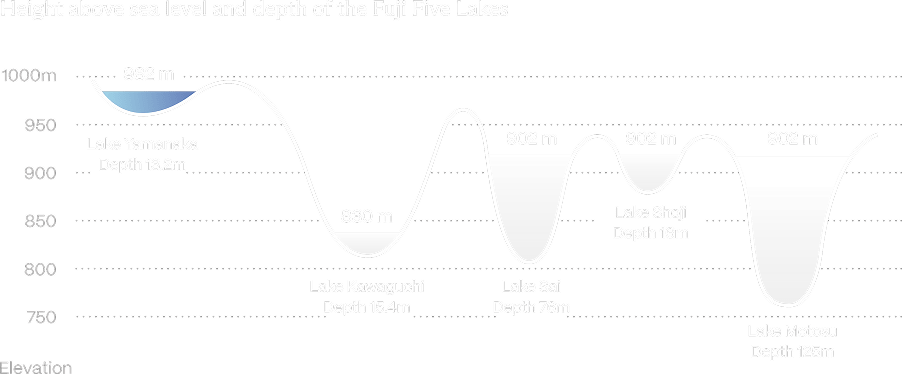 富士五湖（河口湖、山中湖、西湖、精進湖、本栖湖）の標高と深度を示すグラフ