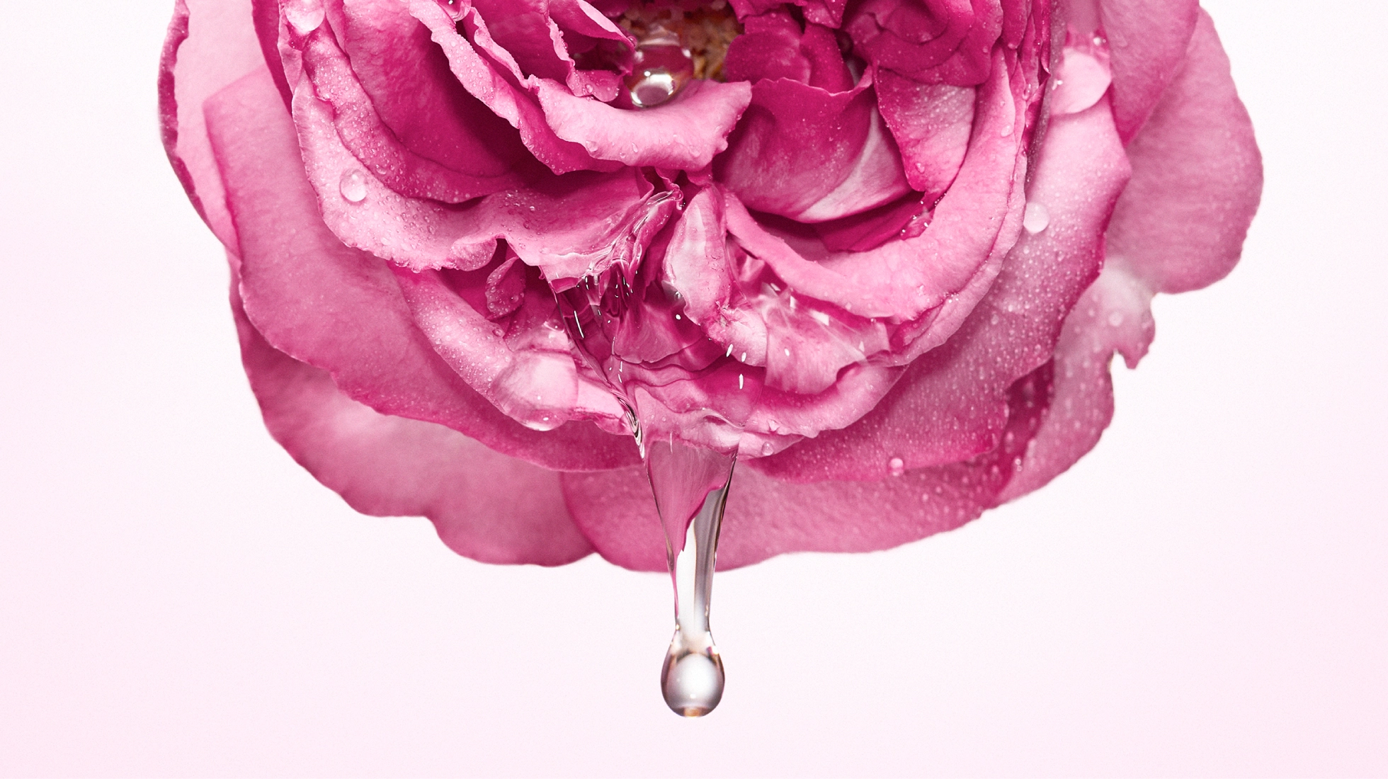 ReFa HEART ROSE SHAMPOO＆TREATMENT