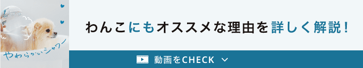 わんこにもオススメな理由を詳しく解説！