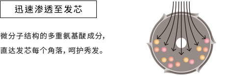 迅速渗透至发芯