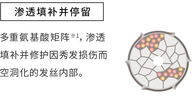 渗透填补并停留