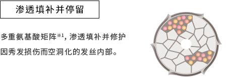 渗透填补并停留
