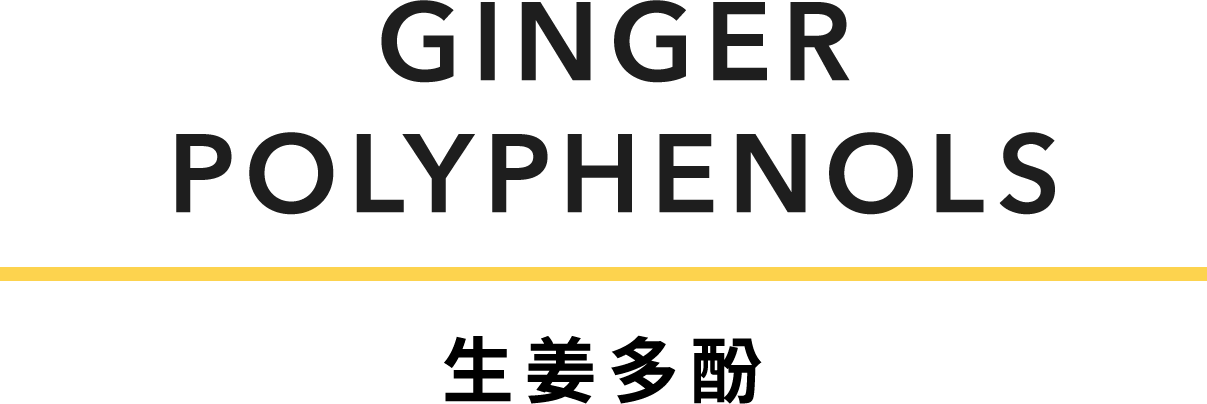GINGER POLYPHENOLS