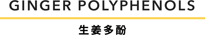 GINGER POLYPHENOLS