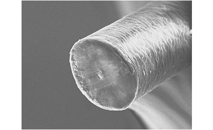 未受压力损坏的头发